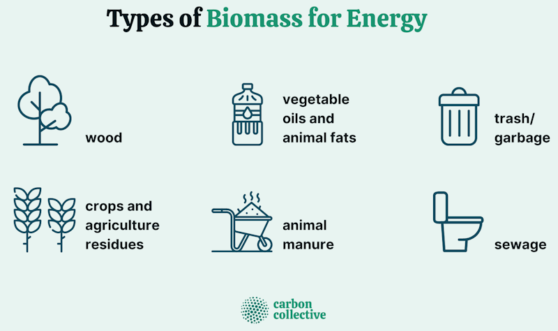let's not waste the biomass